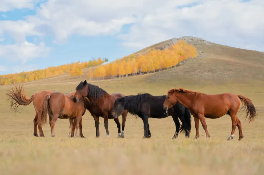 A Landscape Photographer's 2022 Portfolio · Fig. 91