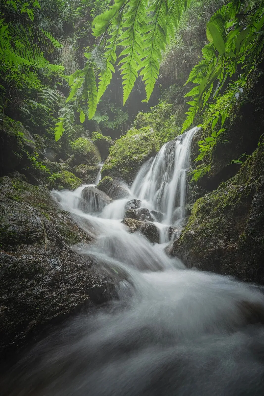 A Landscape Photographer's 2022 Portfolio · Fig. 107