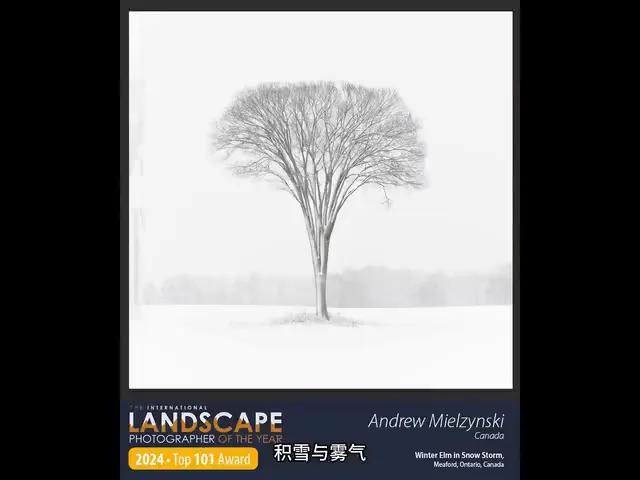 The Four Schools of Landscape Photography! Appreciating the Winners of the 2024 International Landscape Photographer of the Year · Fig. 4