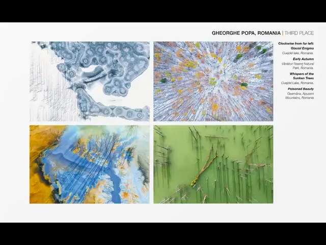 The Four Schools of Landscape Photography! Appreciating the Winners of the 2024 International Landscape Photographer of the Year · Fig. 11
