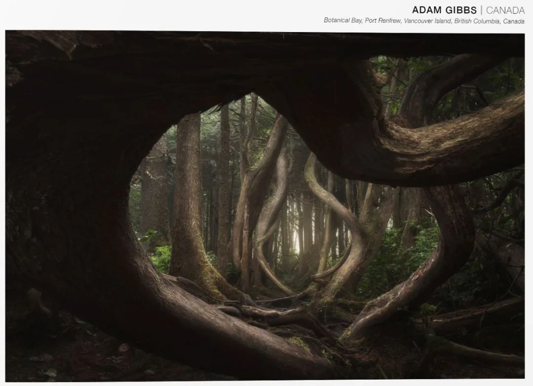 A Visual Feast: The 101 Most Beautiful Nature Landscape Photos of 2018 · Fig. 1