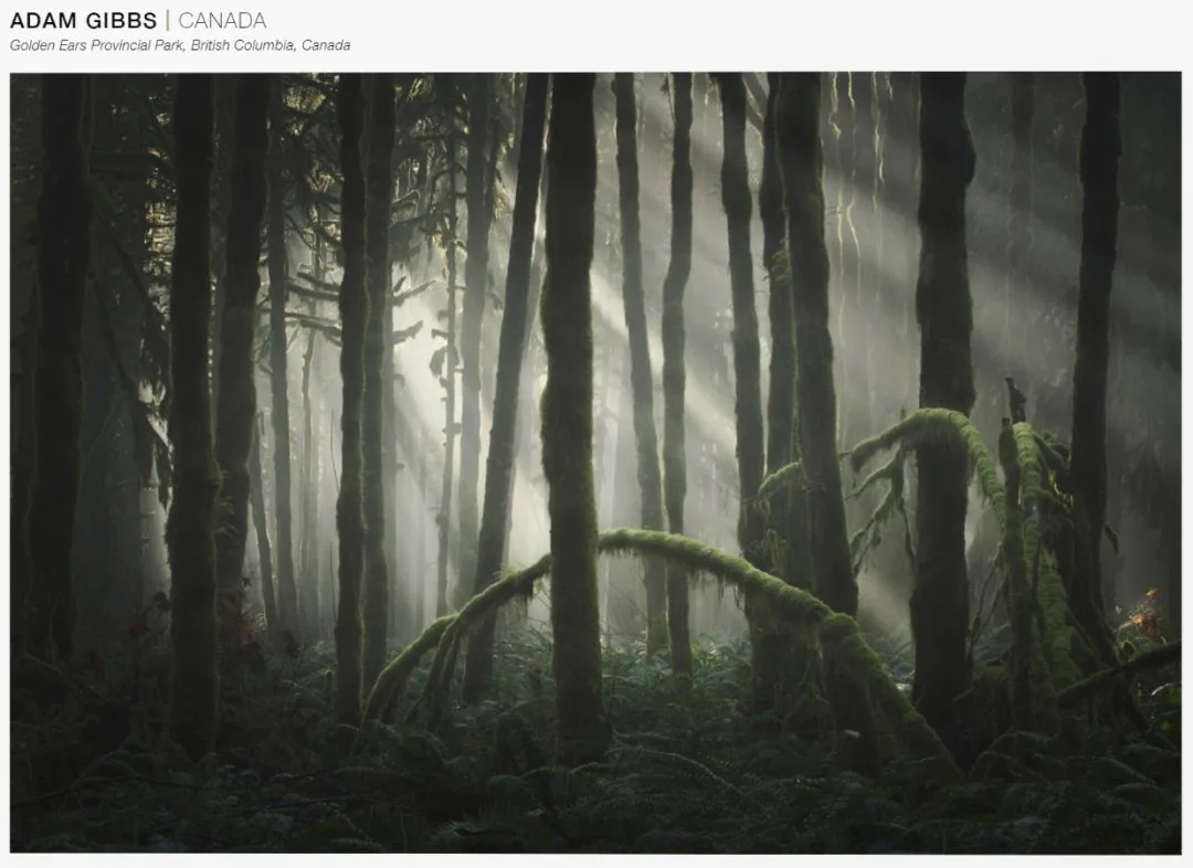 A Visual Feast: The 101 Most Beautiful Nature Landscape Photos of 2018 · Fig. 2