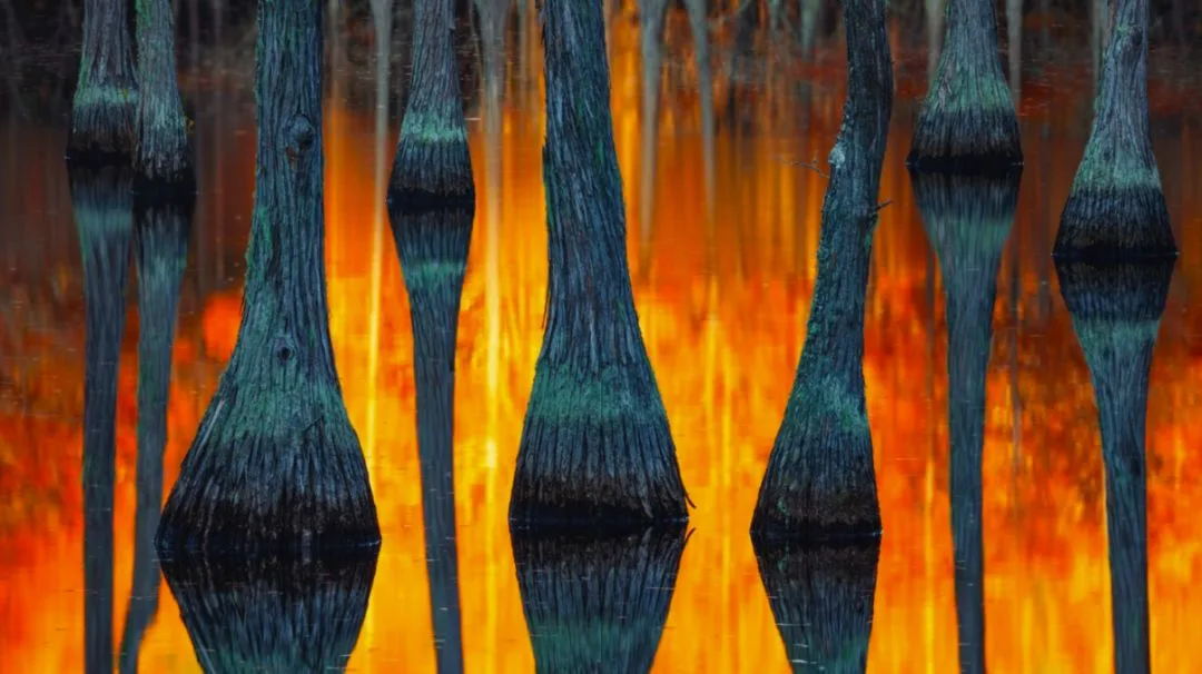 A Visual Feast: The 101 Most Beautiful Nature Landscape Photos of 2018 · Fig. 5