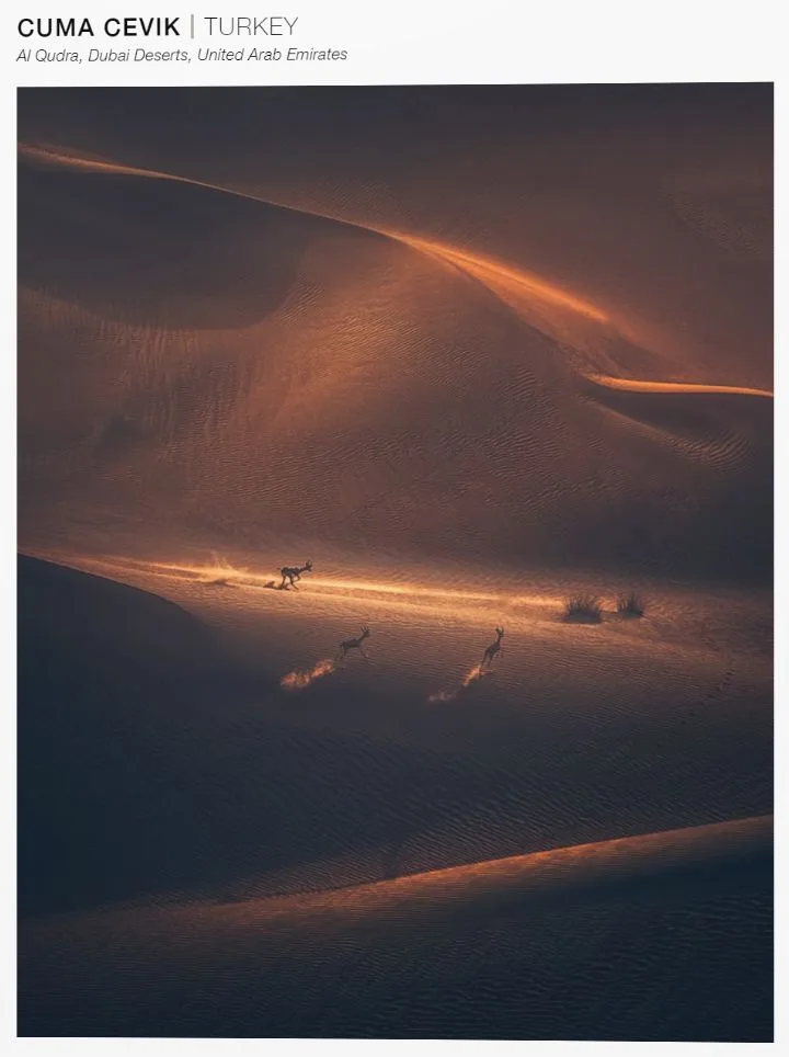 A Visual Feast: The 101 Most Beautiful Nature Landscape Photos of 2018 · Fig. 24