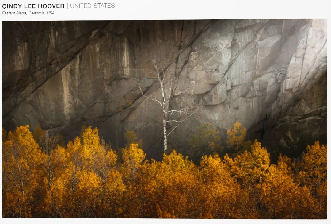 A Visual Feast: The 101 Most Beautiful Nature Landscape Photos of 2018 · Fig. 27