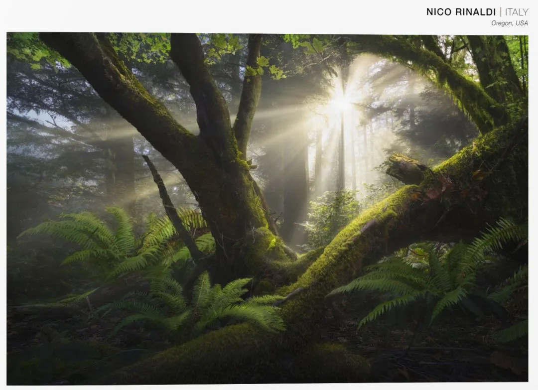 A Visual Feast: The 101 Most Beautiful Nature Landscape Photos of 2018 · Fig. 33