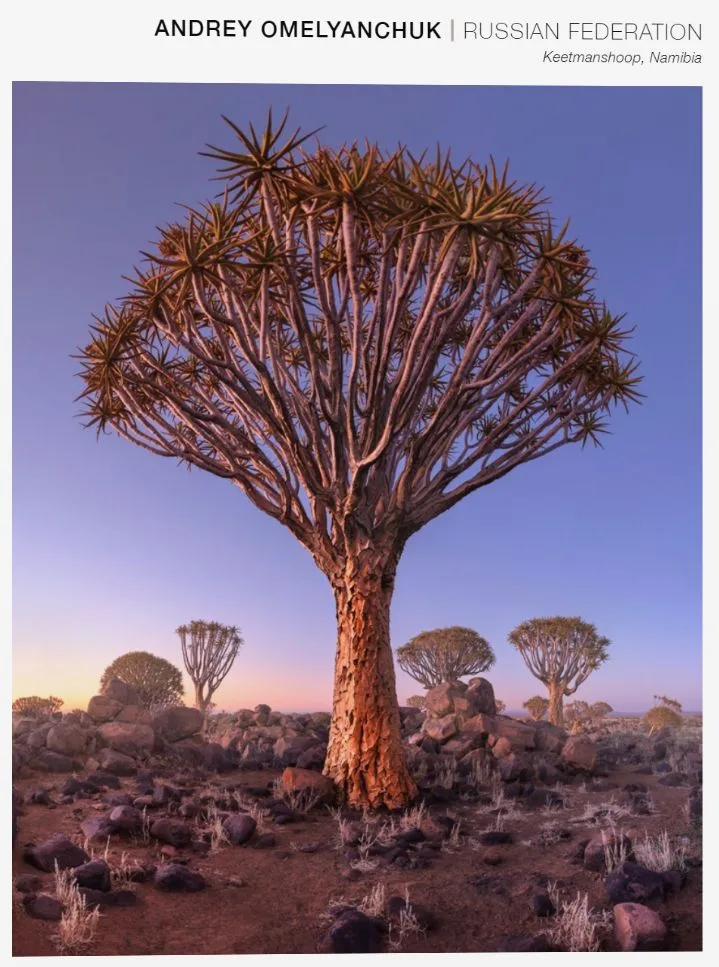 A Visual Feast: The 101 Most Beautiful Nature Landscape Photos of 2018 · Fig. 40
