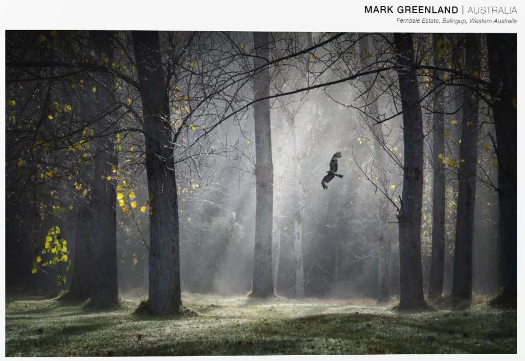 A Visual Feast: The 101 Most Beautiful Nature Landscape Photos of 2018 · Fig. 50