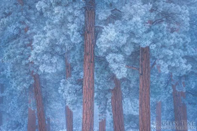The Masterpieces You See Every Day Are Only the Tip of the Iceberg of Landscape Photography · Fig. 13