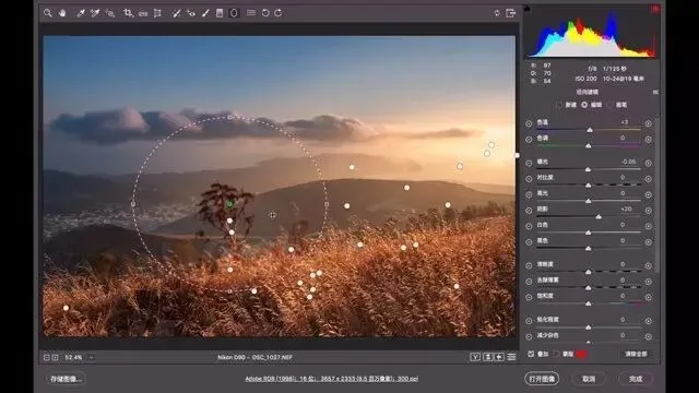 如何用局部滤镜重塑照片光影（视频教程） · 图11