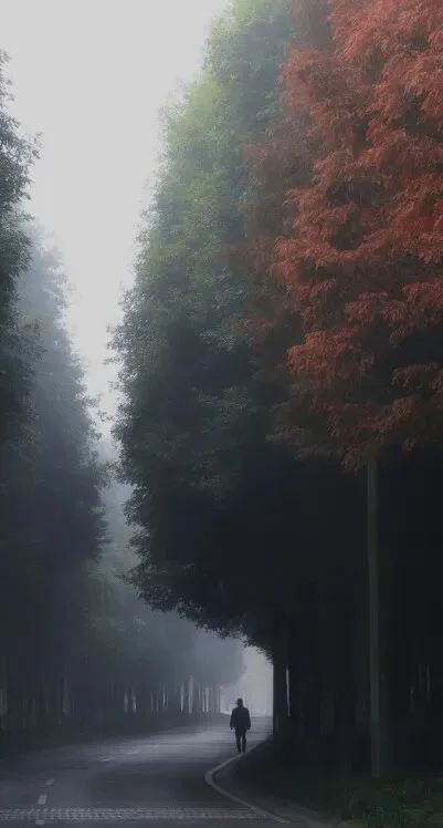 这些壮丽的路与桥，是前浪留给后浪们最美的礼物 · 图22