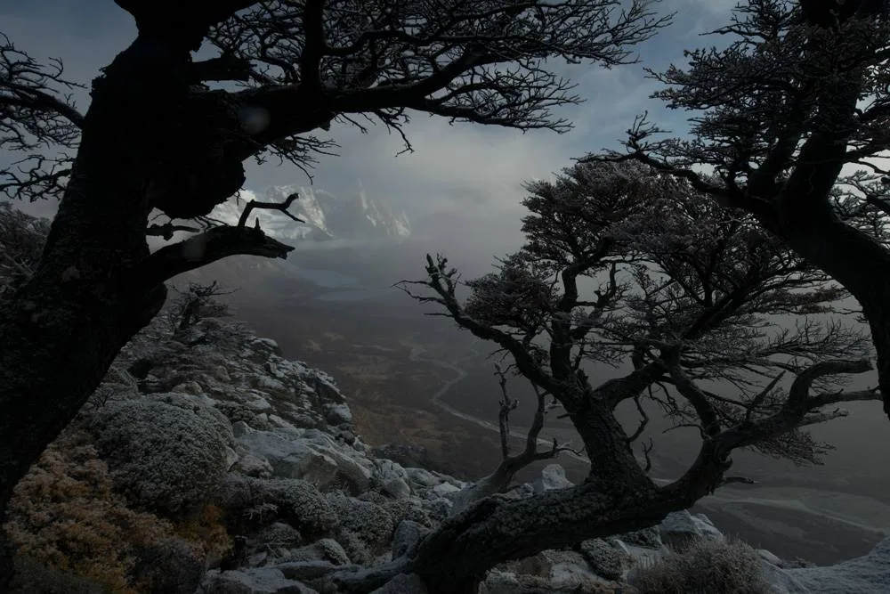 Unveiling the Post-Processing of a 500px Perfect-Score Work | Max Rive Landscape Course 1 · Fig. 2