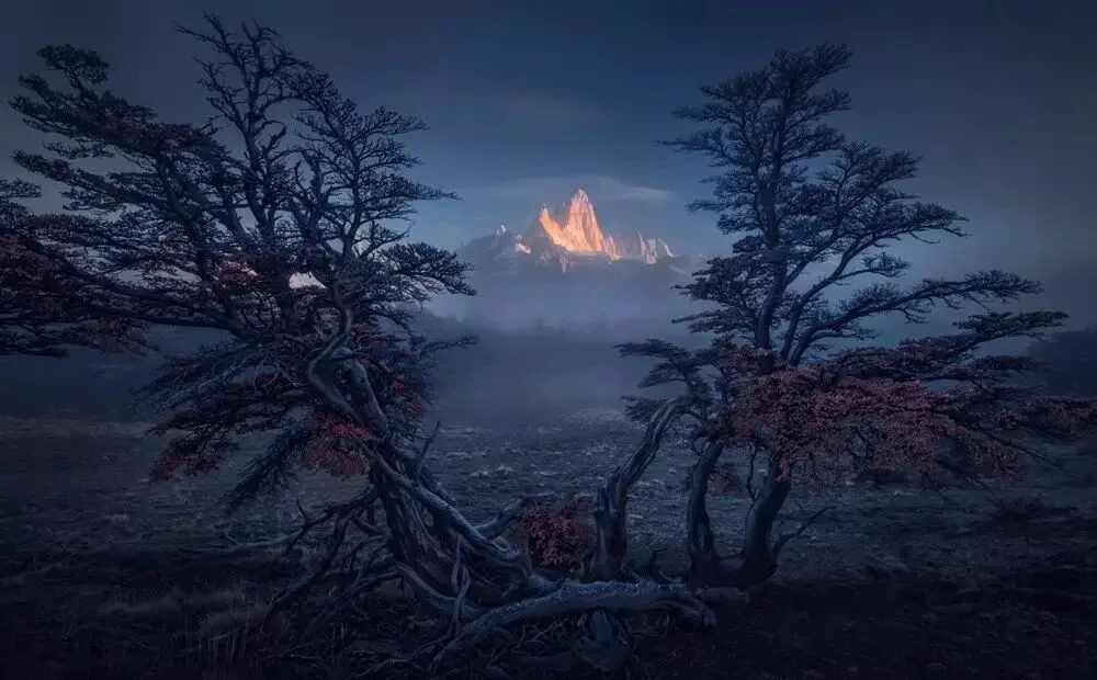 Unveiling the Post-Processing of a 500px Perfect-Score Work | Max Rive Landscape Course 1 · Fig. 8
