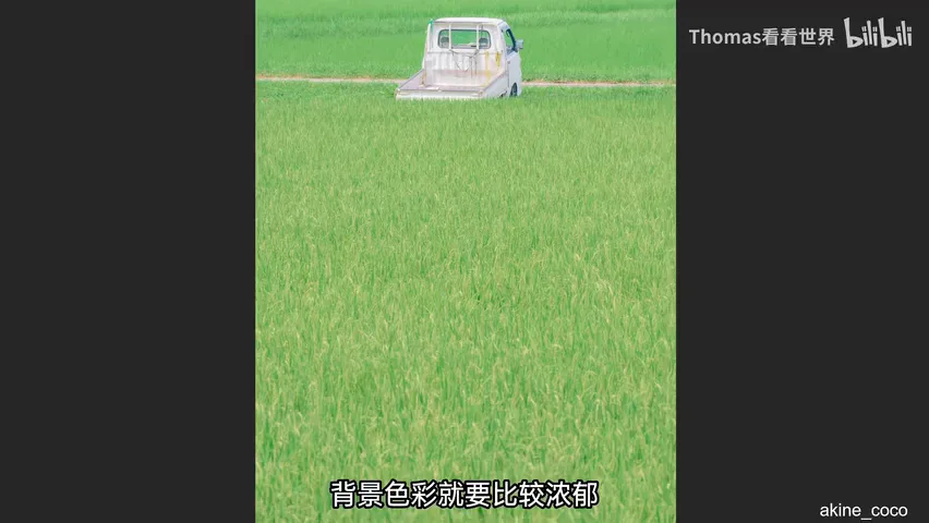 谁说中午不能拍大片？正午顶光摄影思路分享！ · 图2