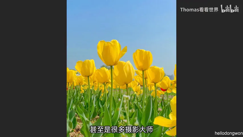 谁说中午不能拍大片？正午顶光摄影思路分享！ · 图4