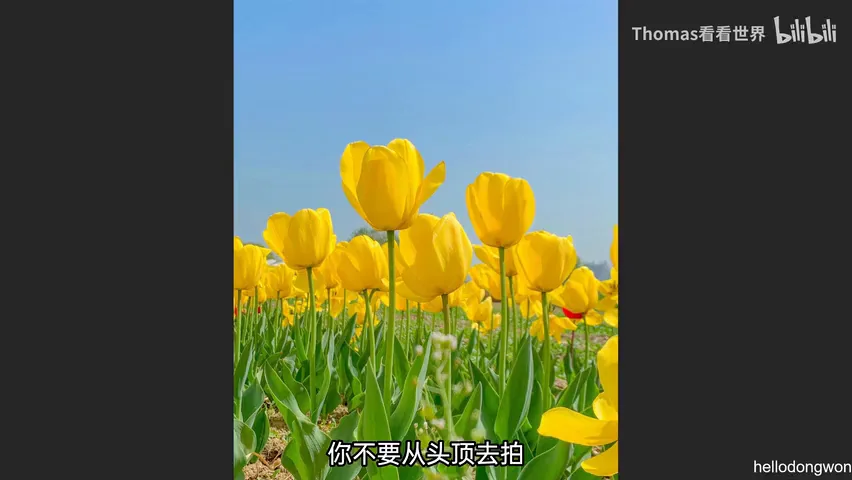 谁说中午不能拍大片？正午顶光摄影思路分享！ · 图10