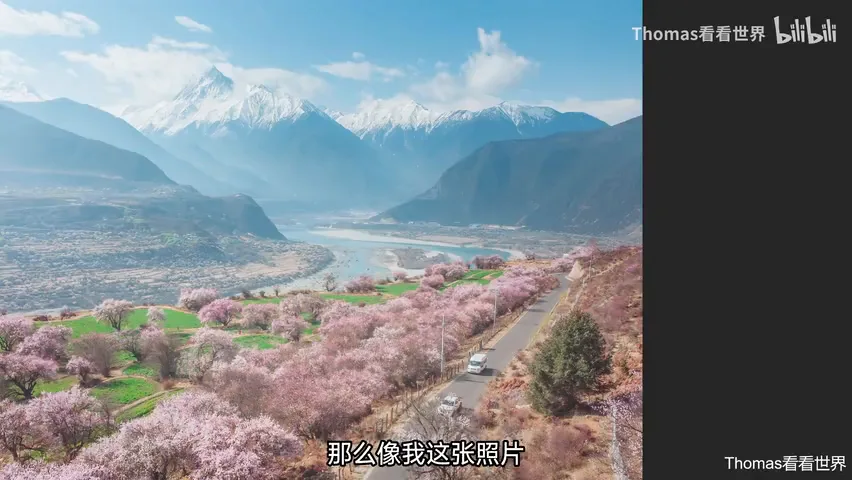 谁说中午不能拍大片？正午顶光摄影思路分享！ · 图12