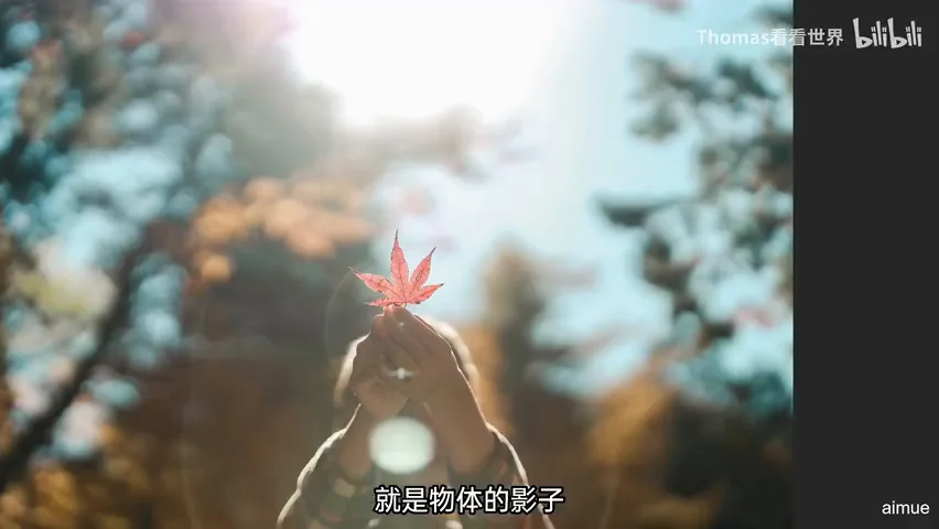 谁说中午不能拍大片？正午顶光摄影思路分享！ · 图13
