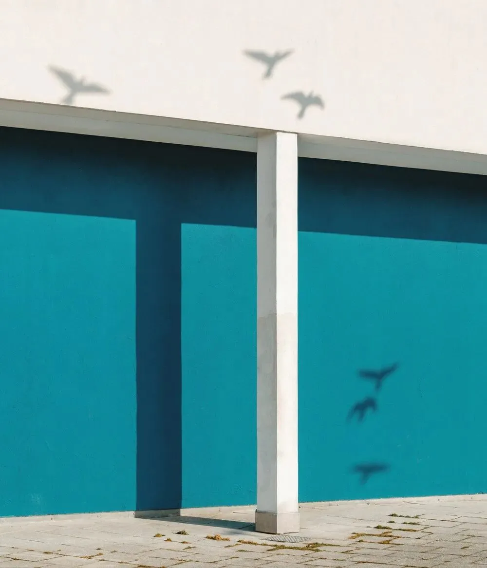 Is Minimalist Photography Just Simple Composition? 99% Get It Wrong · Fig. 1
