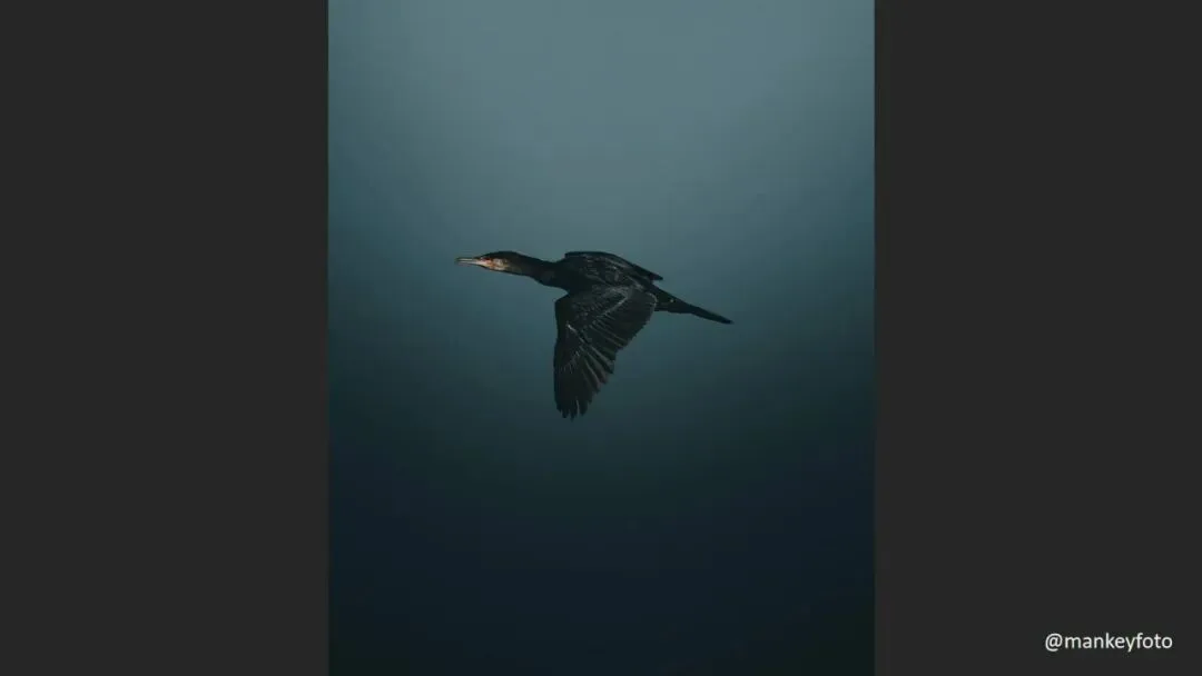 Is Minimalist Photography Just Simple Composition? 99% Get It Wrong · Fig. 35