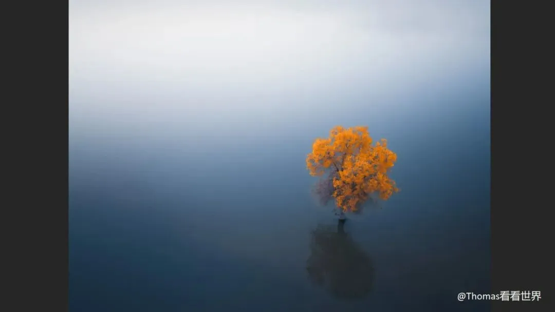 Is Minimalist Photography Just Simple Composition? 99% Get It Wrong · Fig. 41