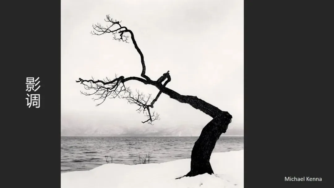 Is Minimalist Photography Just Simple Composition? 99% Get It Wrong · Fig. 42