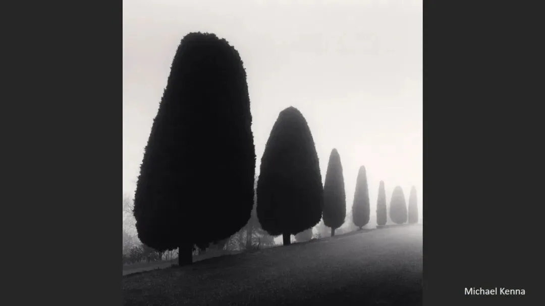 Is Minimalist Photography Just Simple Composition? 99% Get It Wrong · Fig. 44