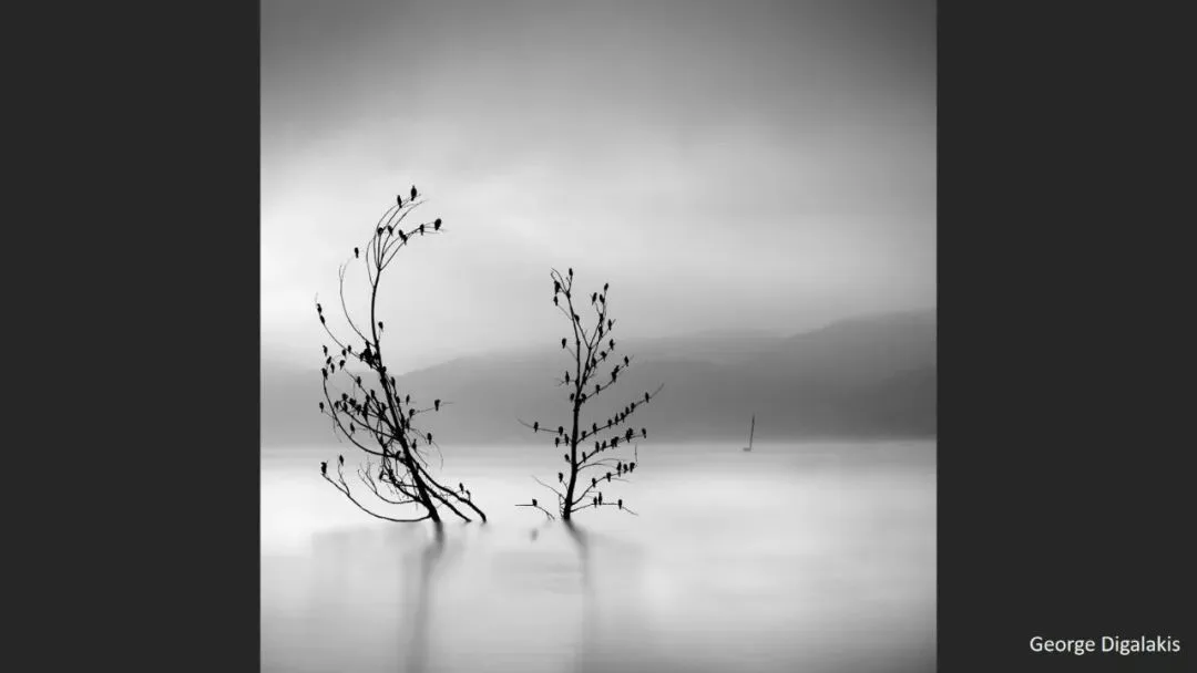 Is Minimalist Photography Just Simple Composition? 99% Get It Wrong · Fig. 46