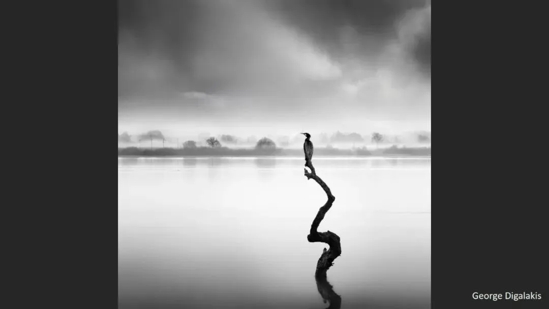 Is Minimalist Photography Just Simple Composition? 99% Get It Wrong · Fig. 47