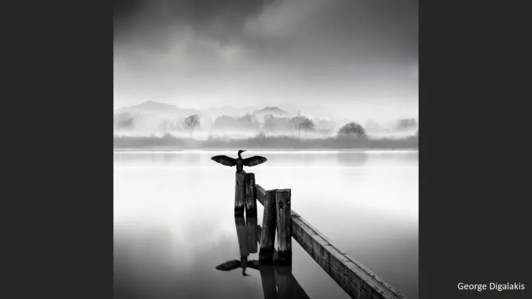 Is Minimalist Photography Just Simple Composition? 99% Get It Wrong · Fig. 48