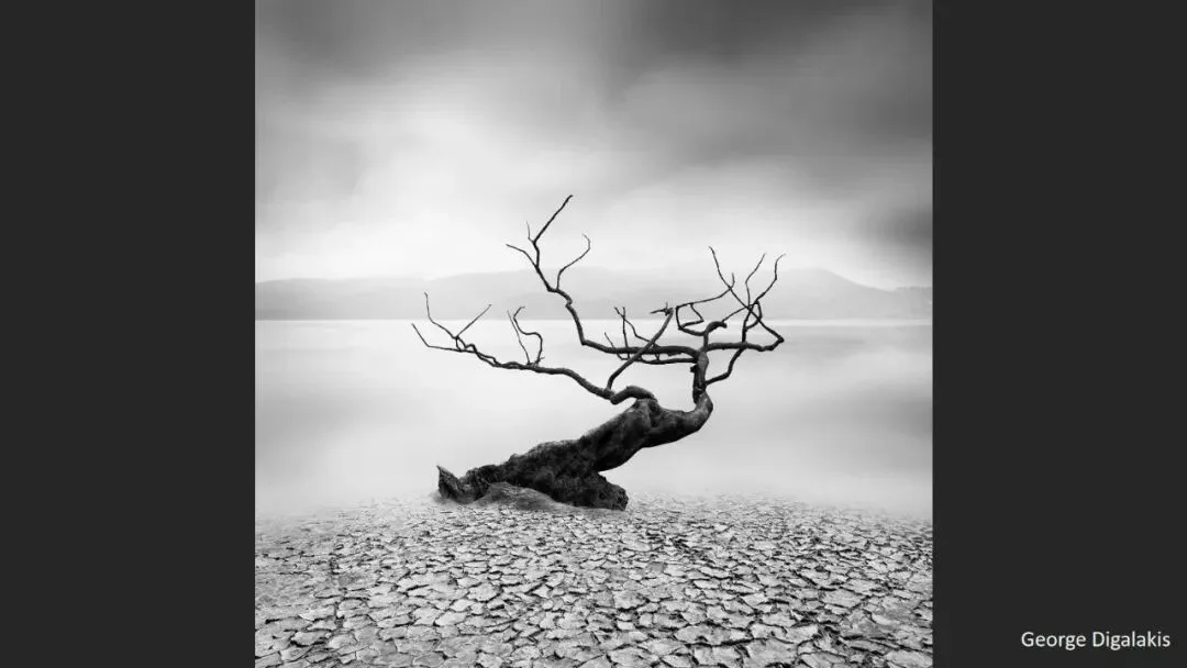 Is Minimalist Photography Just Simple Composition? 99% Get It Wrong · Fig. 50