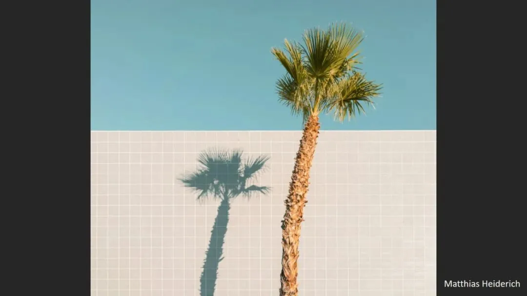 Is Minimalist Photography Just Simple Composition? 99% Get It Wrong · Fig. 59