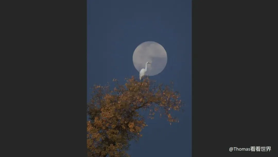 Is Minimalist Photography Just Simple Composition? 99% Get It Wrong · Fig. 63