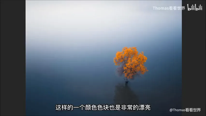 Is Minimalist Photography Just Simple Composition? 99% Get It Wrong · Fig. 9