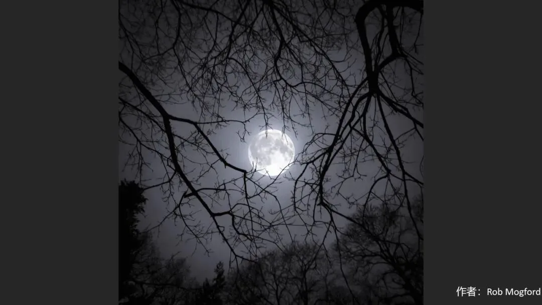 摄影师是如何拍月亮的？审美提升+思路扩展！ · 图51