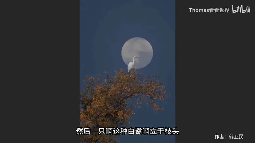 摄影师是如何拍月亮的？审美提升+思路扩展！ · 图13