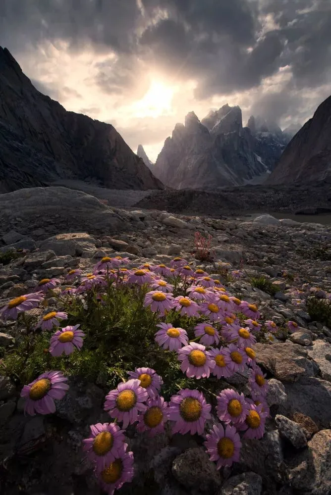 The World's Most Breathtaking Snow Mountains and Glaciers Are Right Here! · Fig. 13