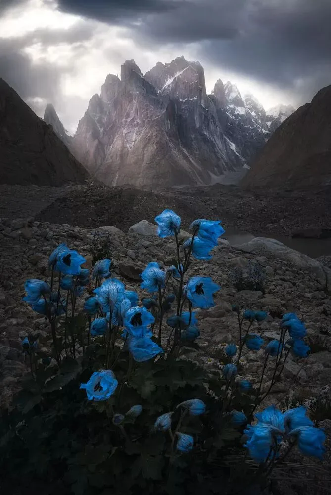 The World's Most Breathtaking Snow Mountains and Glaciers Are Right Here! · Fig. 19