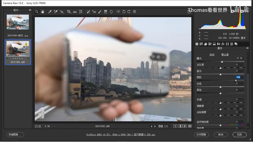 Low-Saturation Teal-and-Orange in a Few Steps: ACR/Lightroom Grading Tutorial · Fig. 6