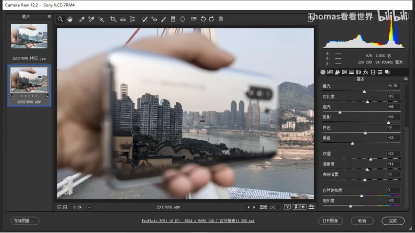 Low-Saturation Teal-and-Orange in a Few Steps: ACR/Lightroom Grading Tutorial · Fig. 8