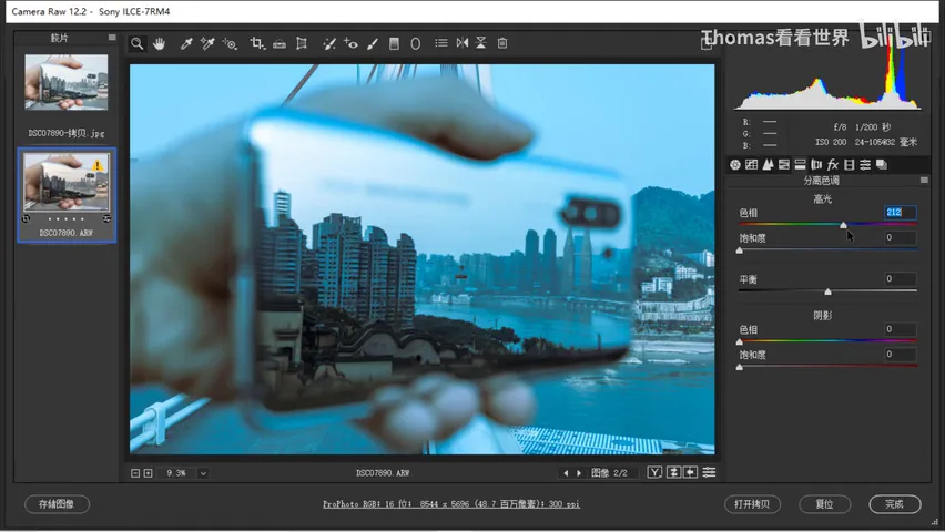 Low-Saturation Teal-and-Orange in a Few Steps: ACR/Lightroom Grading Tutorial · Fig. 9