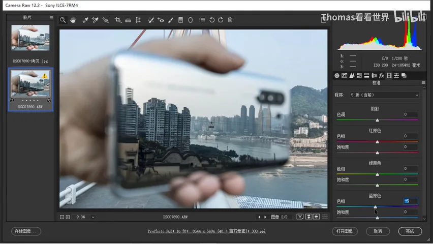 Low-Saturation Teal-and-Orange in a Few Steps: ACR/Lightroom Grading Tutorial · Fig. 10