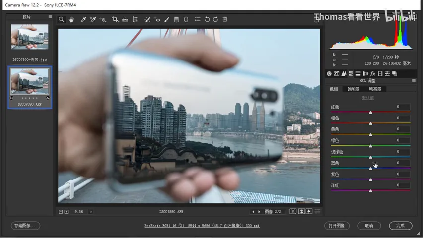 Low-Saturation Teal-and-Orange in a Few Steps: ACR/Lightroom Grading Tutorial · Fig. 11