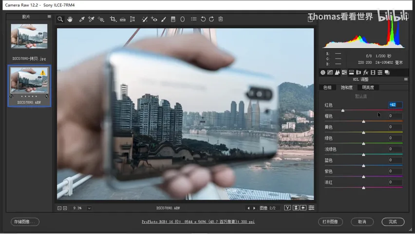 Low-Saturation Teal-and-Orange in a Few Steps: ACR/Lightroom Grading Tutorial · Fig. 12