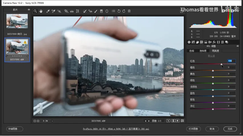Low-Saturation Teal-and-Orange in a Few Steps: ACR/Lightroom Grading Tutorial · Fig. 13