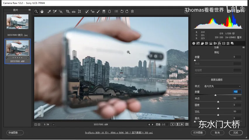 Low-Saturation Teal-and-Orange in a Few Steps: ACR/Lightroom Grading Tutorial · Fig. 14