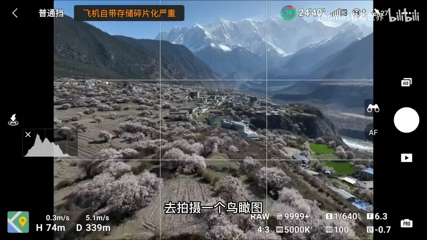Snow Peaks & Peach Blossoms: A Live Tutorial in Suosong Village Under Mt. Namcha Barwa · Fig. 3