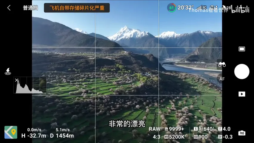 Snow Peaks & Peach Blossoms: A Live Tutorial in Suosong Village Under Mt. Namcha Barwa · Fig. 4