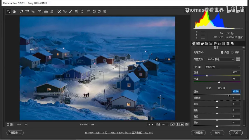 What Does the Raw NatGeo Award Photo Look Like? Shooting and Post-Processing Video · Fig. 9