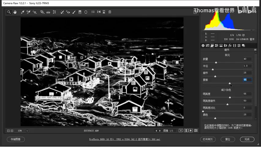What Does the Raw NatGeo Award Photo Look Like? Shooting and Post-Processing Video · Fig. 10